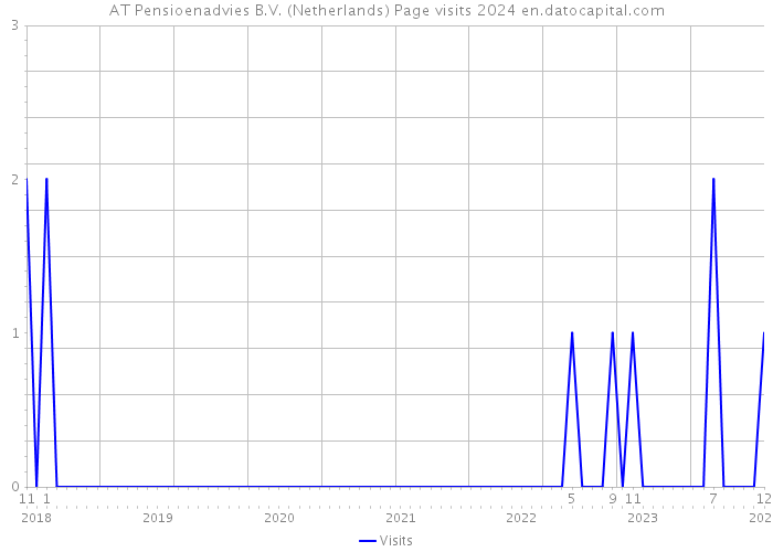 AT Pensioenadvies B.V. (Netherlands) Page visits 2024 