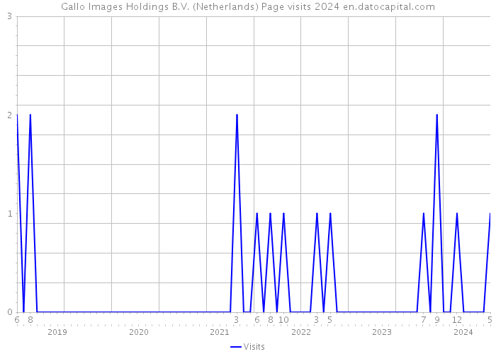 Gallo Images Holdings B.V. (Netherlands) Page visits 2024 
