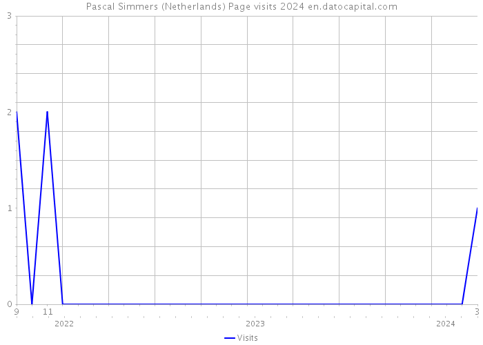 Pascal Simmers (Netherlands) Page visits 2024 