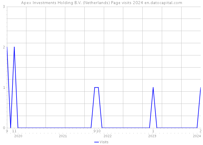 Apex Investments Holding B.V. (Netherlands) Page visits 2024 