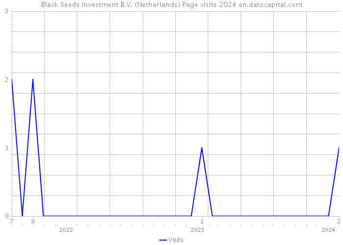 Black Seeds Investment B.V. (Netherlands) Page visits 2024 