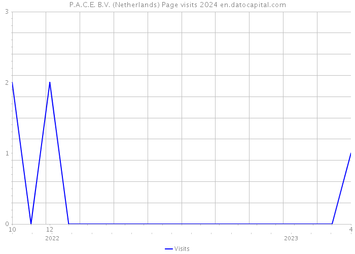 P.A.C.E. B.V. (Netherlands) Page visits 2024 