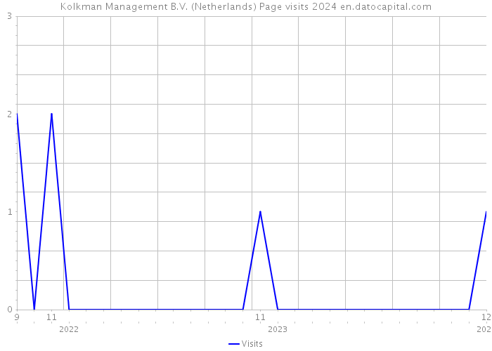 Kolkman Management B.V. (Netherlands) Page visits 2024 