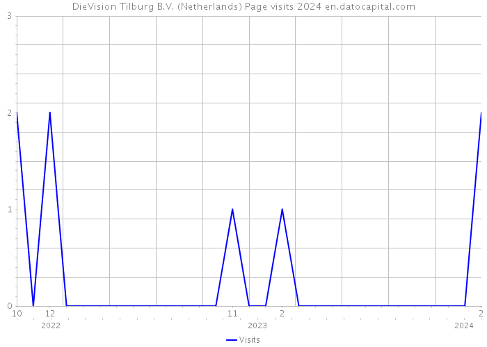 DieVision Tilburg B.V. (Netherlands) Page visits 2024 