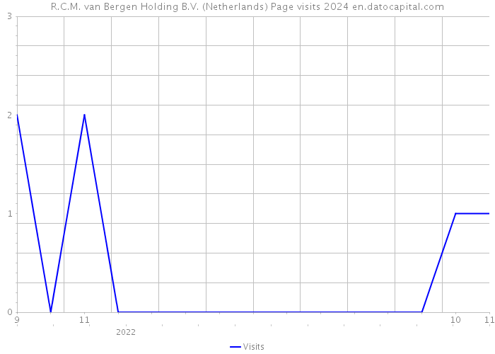 R.C.M. van Bergen Holding B.V. (Netherlands) Page visits 2024 
