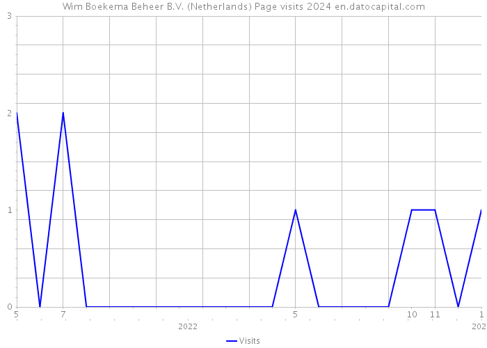 Wim Boekema Beheer B.V. (Netherlands) Page visits 2024 