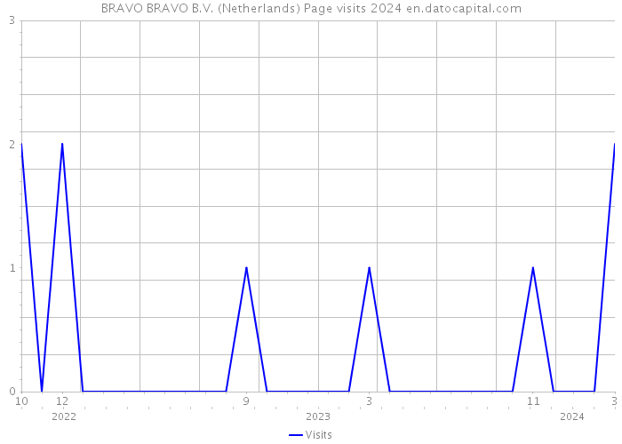 BRAVO BRAVO B.V. (Netherlands) Page visits 2024 