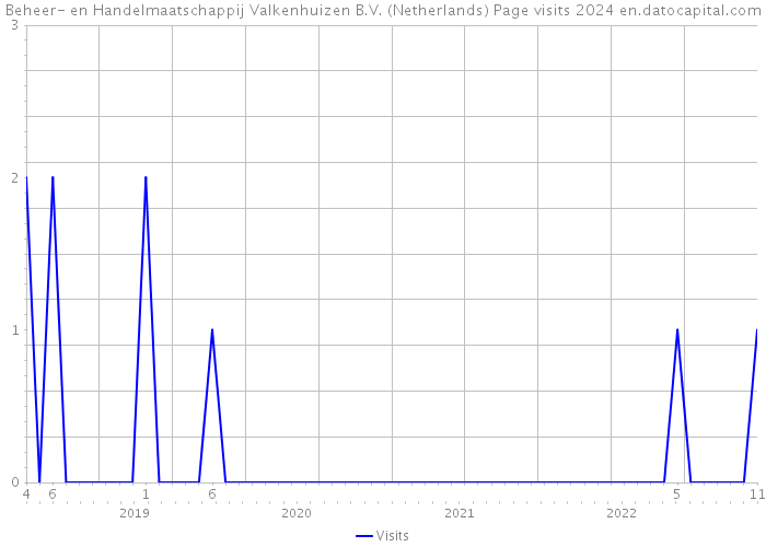 Beheer- en Handelmaatschappij Valkenhuizen B.V. (Netherlands) Page visits 2024 