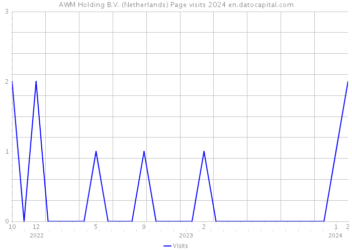 AWM Holding B.V. (Netherlands) Page visits 2024 