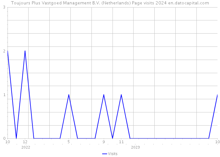 Toujours Plus Vastgoed Management B.V. (Netherlands) Page visits 2024 