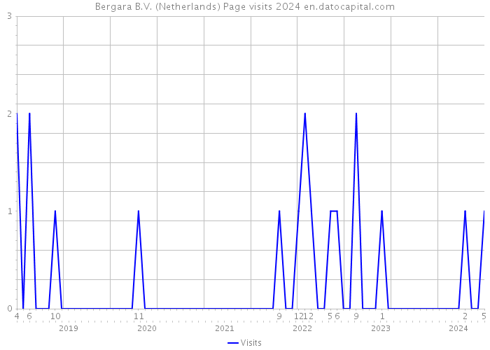 Bergara B.V. (Netherlands) Page visits 2024 