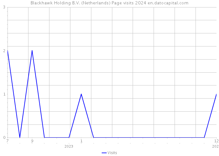 Blackhawk Holding B.V. (Netherlands) Page visits 2024 