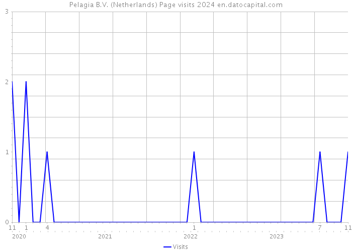Pelagia B.V. (Netherlands) Page visits 2024 