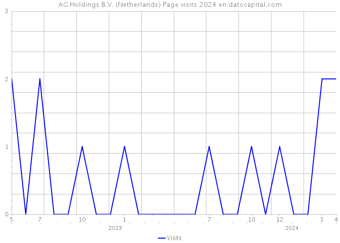 AG Holdings B.V. (Netherlands) Page visits 2024 