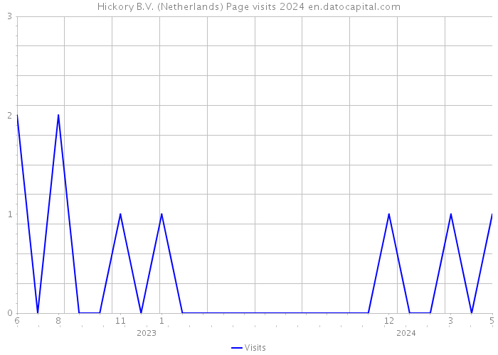 Hickory B.V. (Netherlands) Page visits 2024 