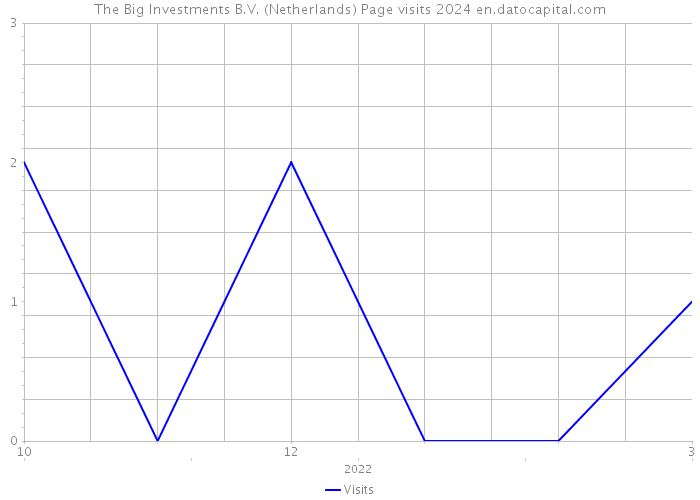 The Big Investments B.V. (Netherlands) Page visits 2024 