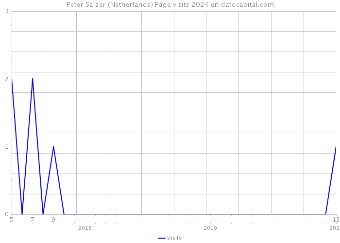 Peter Salzer (Netherlands) Page visits 2024 