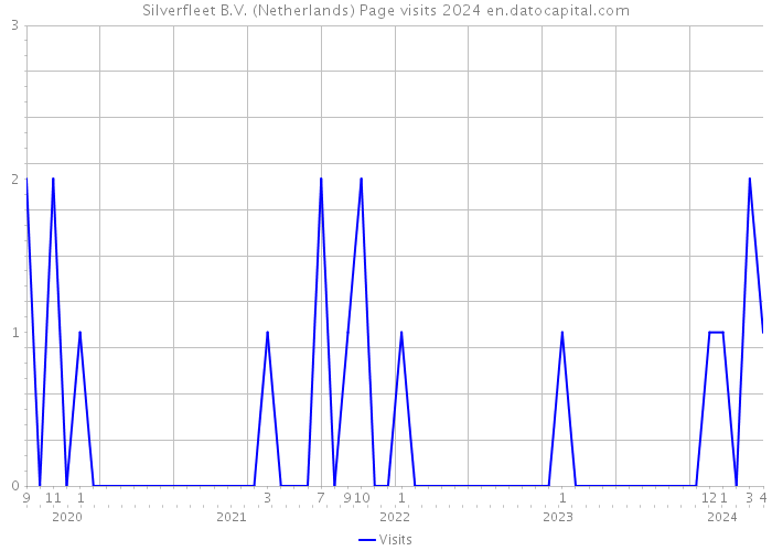 Silverfleet B.V. (Netherlands) Page visits 2024 