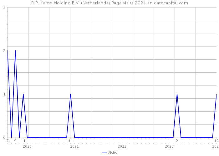 R.P. Kamp Holding B.V. (Netherlands) Page visits 2024 