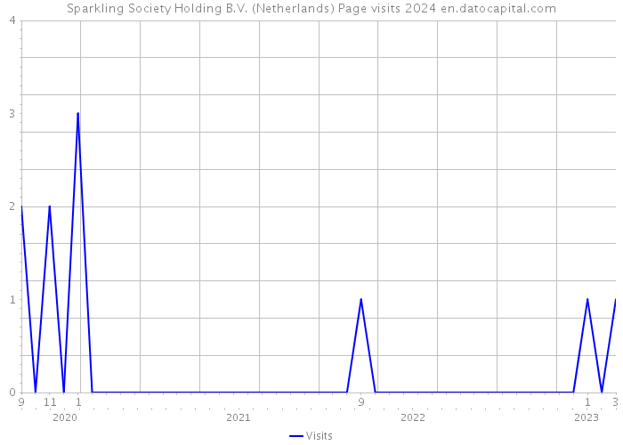 Sparkling Society Holding B.V. (Netherlands) Page visits 2024 