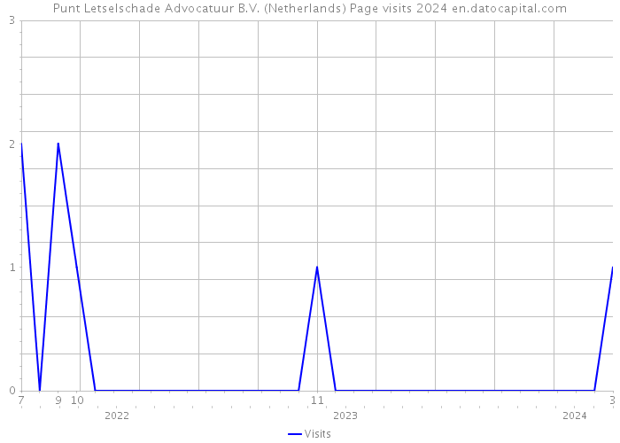 Punt Letselschade Advocatuur B.V. (Netherlands) Page visits 2024 
