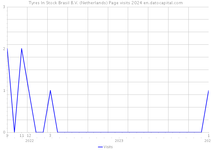 Tyres In Stock Brasil B.V. (Netherlands) Page visits 2024 