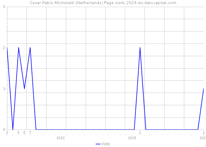 Cesar Pablo Michelutti (Netherlands) Page visits 2024 
