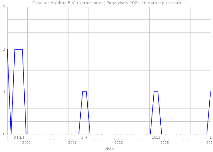 Cuvelier Holding B.V. (Netherlands) Page visits 2024 