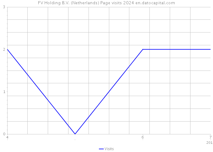 FV Holding B.V. (Netherlands) Page visits 2024 