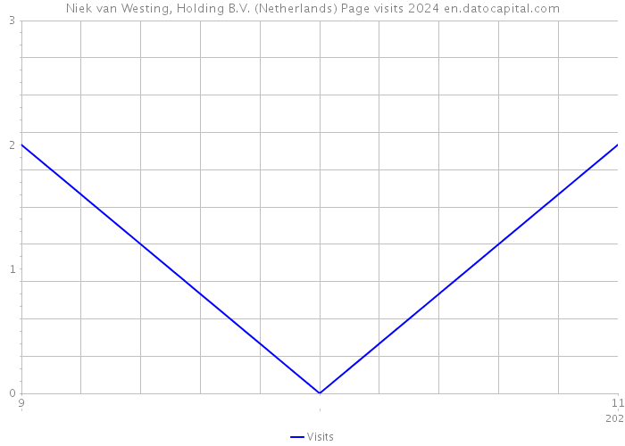 Niek van Westing, Holding B.V. (Netherlands) Page visits 2024 