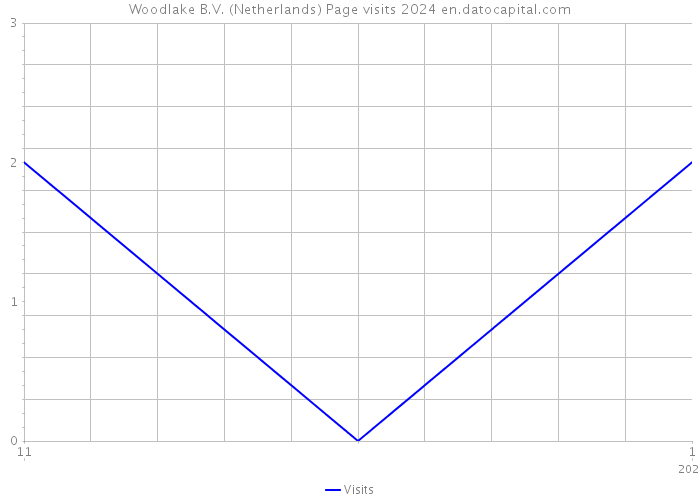 Woodlake B.V. (Netherlands) Page visits 2024 