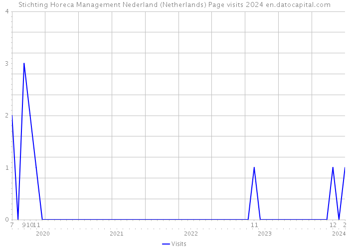 Stichting Horeca Management Nederland (Netherlands) Page visits 2024 