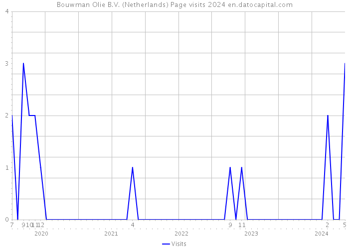 Bouwman Olie B.V. (Netherlands) Page visits 2024 