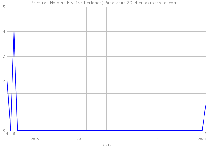 Palmtree Holding B.V. (Netherlands) Page visits 2024 