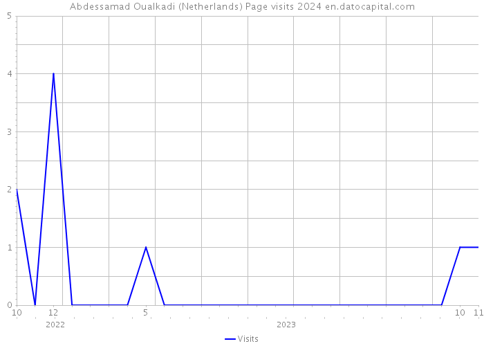 Abdessamad Oualkadi (Netherlands) Page visits 2024 