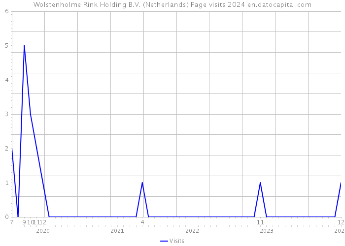 Wolstenholme Rink Holding B.V. (Netherlands) Page visits 2024 