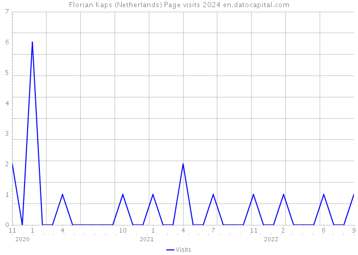 Florian Kaps (Netherlands) Page visits 2024 