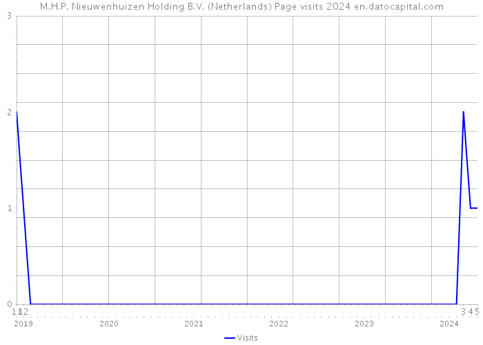 M.H.P. Nieuwenhuizen Holding B.V. (Netherlands) Page visits 2024 