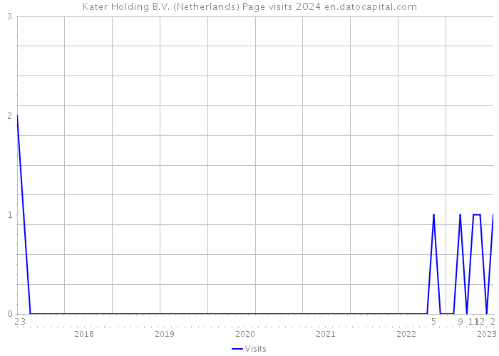 Kater Holding B.V. (Netherlands) Page visits 2024 
