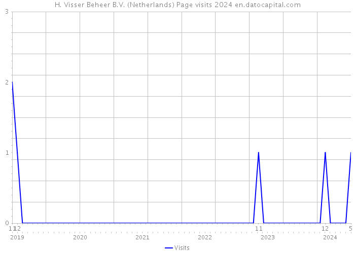 H. Visser Beheer B.V. (Netherlands) Page visits 2024 