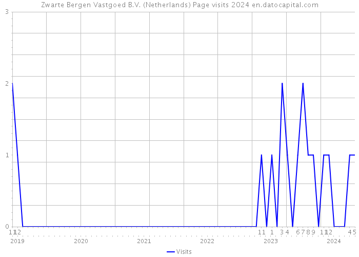 Zwarte Bergen Vastgoed B.V. (Netherlands) Page visits 2024 