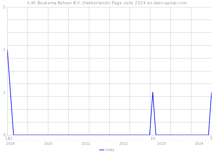 K.M. Beukema Beheer B.V. (Netherlands) Page visits 2024 