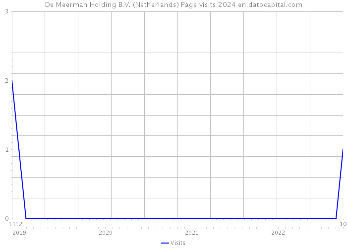 De Meerman Holding B.V. (Netherlands) Page visits 2024 