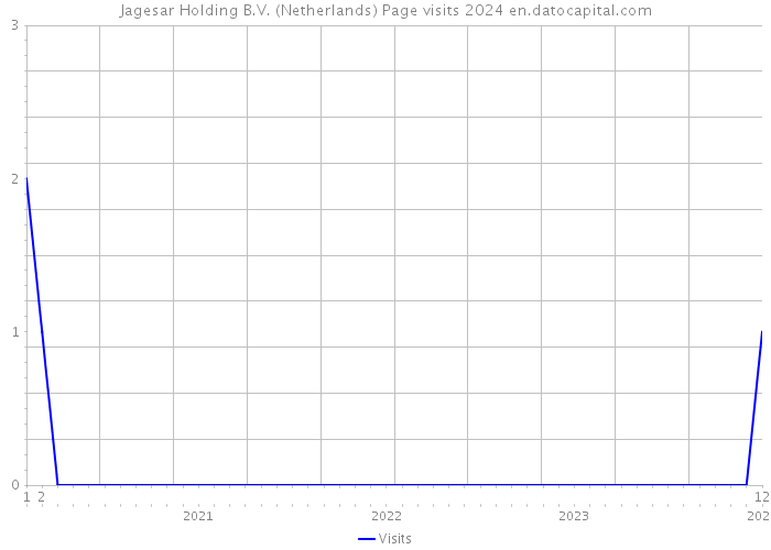 Jagesar Holding B.V. (Netherlands) Page visits 2024 