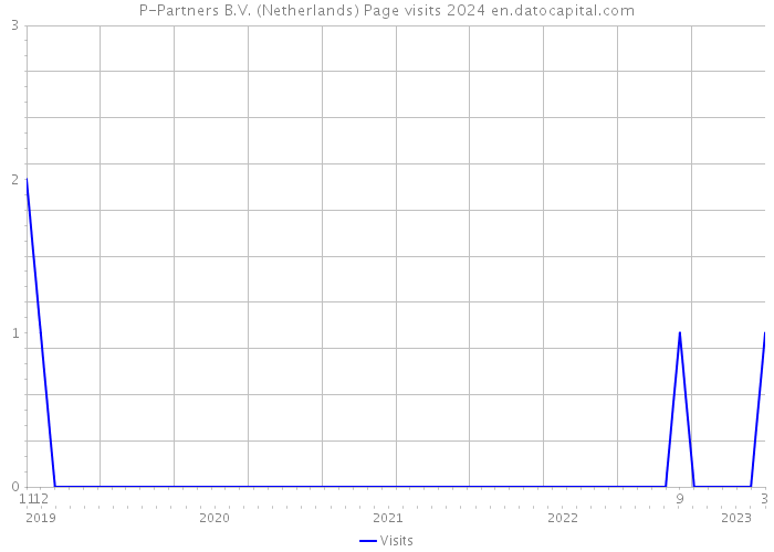 P-Partners B.V. (Netherlands) Page visits 2024 