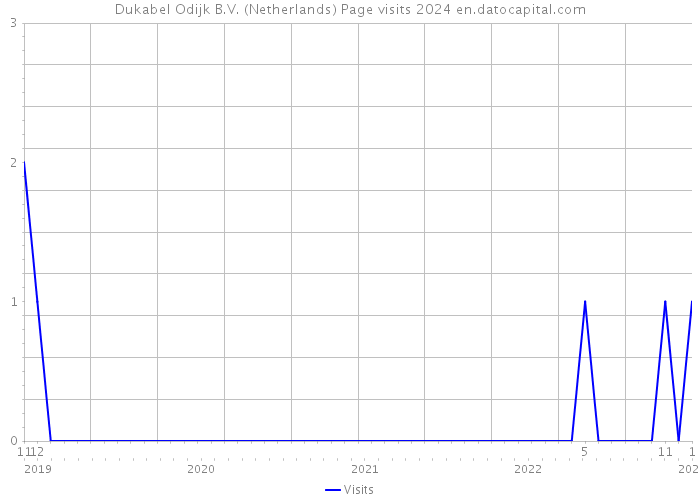 Dukabel Odijk B.V. (Netherlands) Page visits 2024 