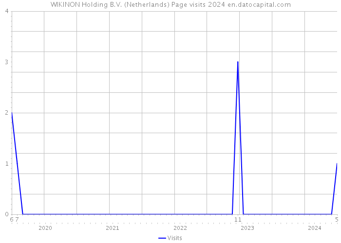 WIKINON Holding B.V. (Netherlands) Page visits 2024 