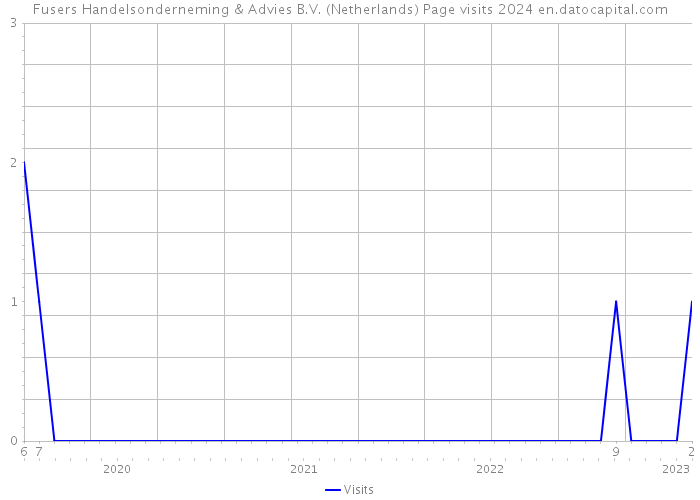 Fusers Handelsonderneming & Advies B.V. (Netherlands) Page visits 2024 