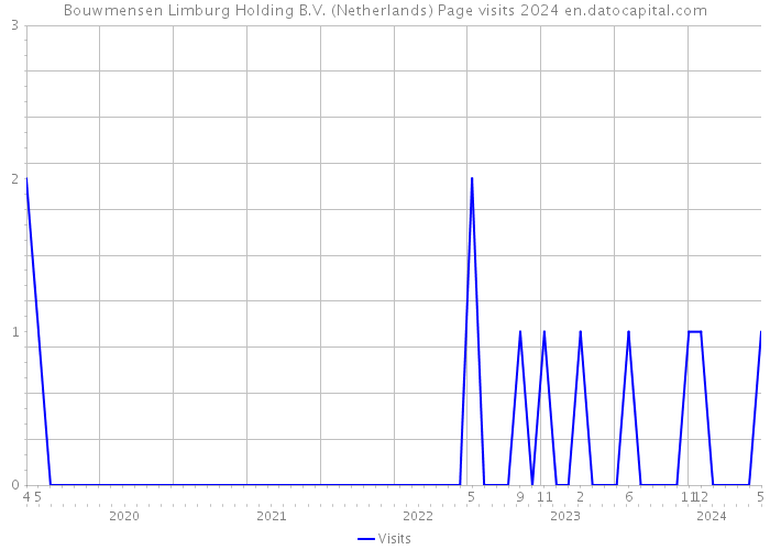 Bouwmensen Limburg Holding B.V. (Netherlands) Page visits 2024 
