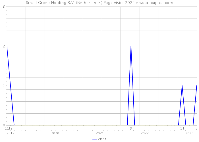 Straal Groep Holding B.V. (Netherlands) Page visits 2024 